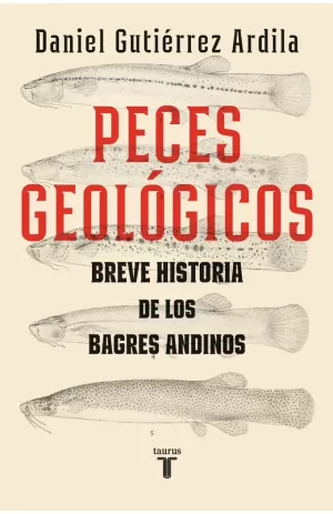 PECES GEOLÓGICOS. PEQUEÑA HISTORIA DE LOS BAGRES ANDINOS
